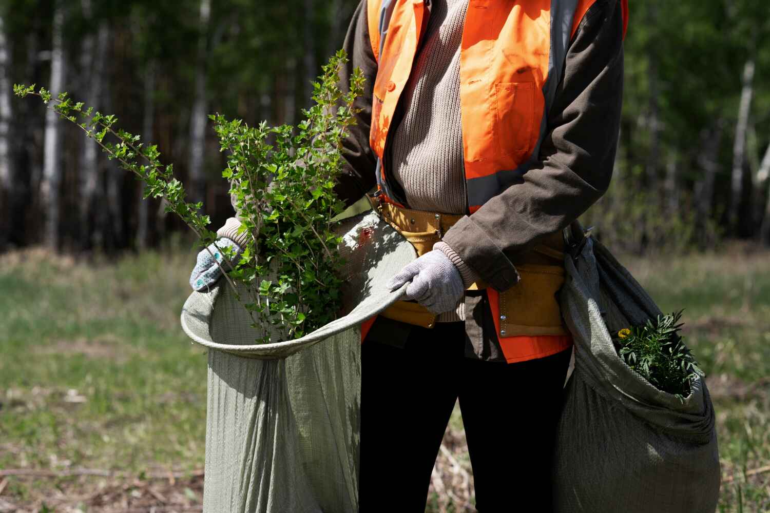 Best Tree Branch Trimming  in Onarga, IL